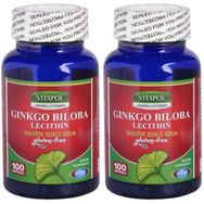 Vitapol Ginkgo Biloba Lecithin 100 Kapsül