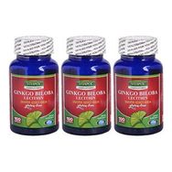 Vitapol Ginkgo Biloba Lecithin 3x100 Kapsül