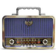 Vlike MD-1907BT FM Gold Bluetooth Hoparlör