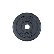Voit 1VTASPL101 2.5 kg Siyah Unisex Flanş Ağırlık