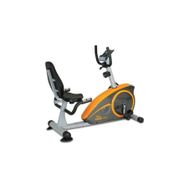 Voit R60 Bronze CollectionKondisyon Bisikleti