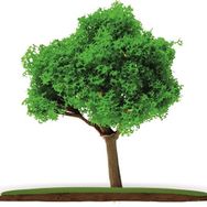 Vox Art VA54A-6.5 1:100 Ölçek 6.5 cm 2'li Maket Ağaç