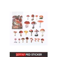 Vox Art Vintage Şeffaf 4-8 cm 40 Adet Pet Sticker