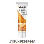 Wahlen Cat Multivitamin Paste 100 ml Kedi Vitamini