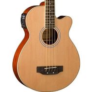 Washburn AB5K Elektro-Akustik Bas Gitar