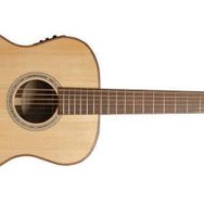 Washburn WCG10SENS Akustik Gitar