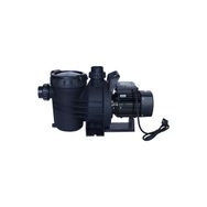 WaterFun Senkron-2 3 Hp 220 V Havuz Pompası