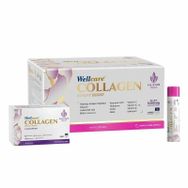 Wellcare Collagen Beauty Boost Plus 5.500 mg Karpuz Nane Aromalı 40 ml 30 Shot