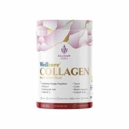 Wellcare Collagen Nar Aromalı 345 gr Toz