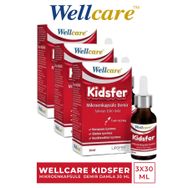 Wellcare Kidsfer Lipozomal Demir 3x30 ml Damla