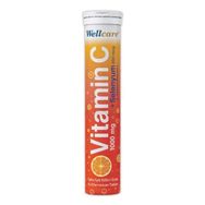 Wellcare Vitamin C Selenyum 15 Efervesan Tablet