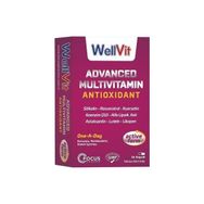 Wellvit Advanced Multivitamin Antioxidant 30 Kapsül