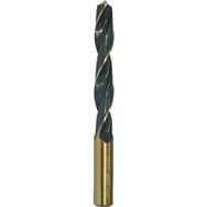 Werkö DIN-1869/2 HSS 10 mm Ekstra Uzun Silindirik Matkap Ucu