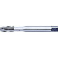 Werkö DIN-376/B HSS M6 Makine Kılavuzu
