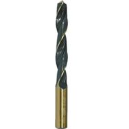 Werkö HSS/DIN338 19 mm Matkap Ucu