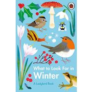 What To Look For In Winter - Ladybird
