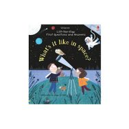 What's It Like In Space Lift The Flap First Q A-Usborne Publishing