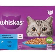 Whiskas Pouch Jöle İçinde Somonlu ve Ton Balıklı 4x85 gr Yetişkin Kedi Konservesi