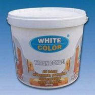 White Color 17,5 kg Tavan Boyası
