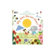 Why Does The Sun Shine?-Usborne Publishing