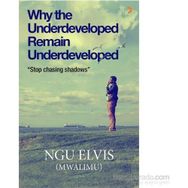 Why the Underdeveloped Remain Underdeveloped - ngu elvis