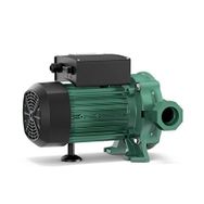 Wilo PB-088 EA Mini Güneş Enerji Pompası 3/4 inç Hidrofor