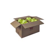 Wilson WR8201501 Triniti 72 Tenis Topu