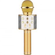 Winex Bluetooth UsbA TF Sd Kart 3.5 mm Aux Girişli Gold Karaoke Mikrofonu