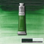 Winsor & Newton 200 ml : Terre Verte Winton Yağlı Boya