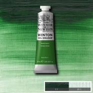 Winsor Newton Artists Terre Verte 637 S.1 37 ml Yağlı Boya