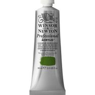 Winsor Newton Chrome Oxide Green 162 S.3 60 ml Akrilik Boya