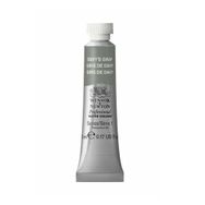 Winsor Newton Davy's Gray 217 5 ml Sulu Boya