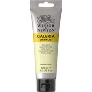 Winsor Newton Galeria 434 Pale Lemon Akrilik Boya