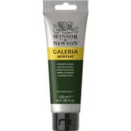 Winsor Newton Galeria No:311 Hookers Green 120ml Akrilik Boya
