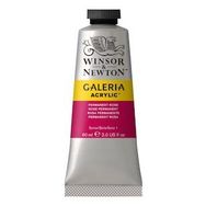 Winsor Newton Galeria Sap Green 599 60ml Akrilik Boya