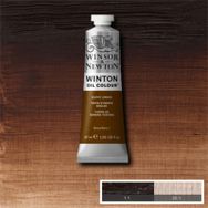 Winsor Newton Winton 37 ml Burnt Umber 076 Yağlı Boya