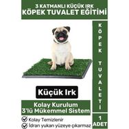 Wintoup Yeşil Küçük Irk Yavru Köpek Tuvaleti