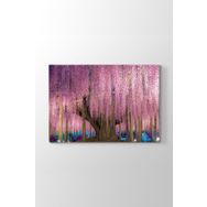 Wisteria Ağacı Tablosu