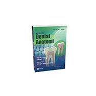 Woelfel Dental Anatomi-Güneş Tıp Kitabevi