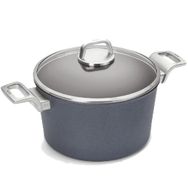 Woll D-WOLL124DLPL 24 cm Derin Tencere