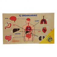 Woodoy Ahşap Yapboz Duyu Organlarımız