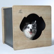 Woofy Woof 2A Köpek Evi