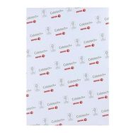 Xerox A4 120 gr Colotech Silk 250'li Fotokopi Kağıdı