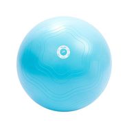 XQ Max 128710390 Siyah 25 cm Pilates Topu
