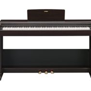 Yamaha Arius YDP-105R Gülağacı Dijital Piyano