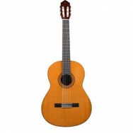 Yamaha C40 Akustik Gitar
