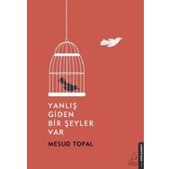 Yanlış Giden Bir Şeyler Var - Mesud Topal
