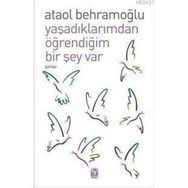 YAŞADIKLARIMDAN ÖĞRENDİĞİM BIR ŞEY VAR - ATAOL BEHRAMOĞLU