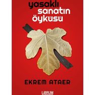 Yasaklı Sanatın Öyküsü - Ekrem Ataer