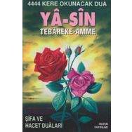 Yasin, Tebareke, Amme ve Namaz Sureleri Tefsiri - Muhsin Demirci